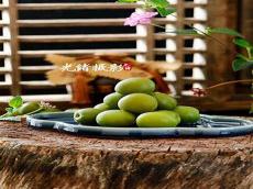 青梅甜甜的白豆豆祁漠琰