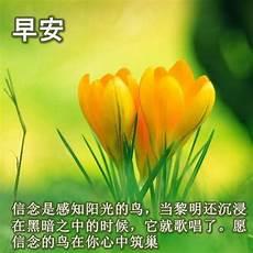 秋天早安图片2020最新