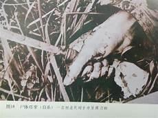 人死了就彻底消失了吗
